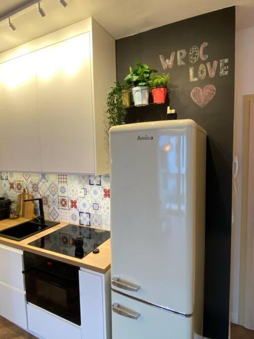 Art Marina Nad Rzeka Z Bezplatnym Parkingiem Apartment Вроцлав Екстериор снимка